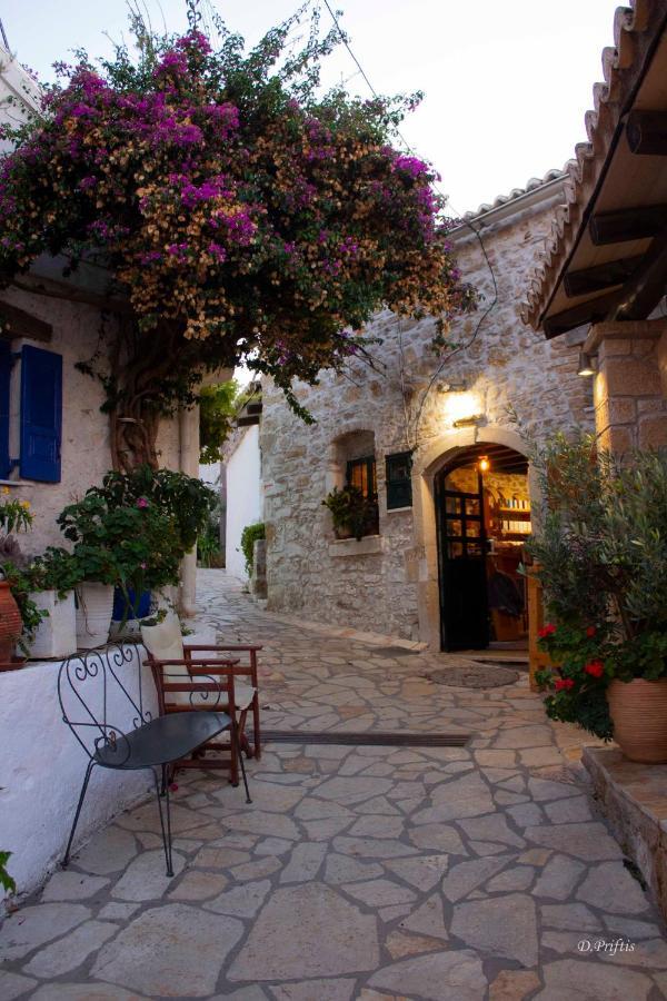 Villa Christine Afionas Corfu Exteriör bild
